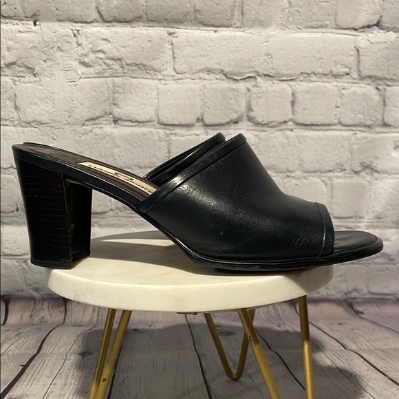 Etienne Aigner Navy Leather Mules with Block Heel Sz 7 - Picture 2 of 6